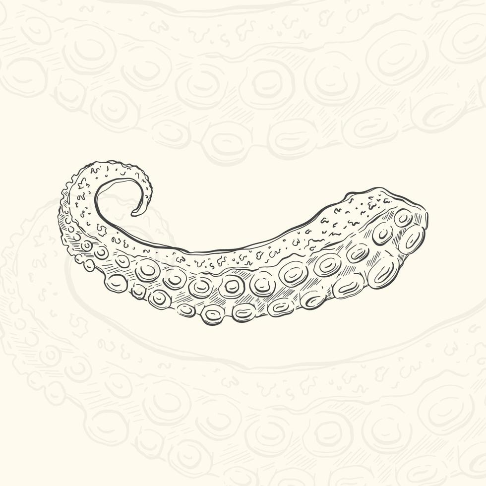 Illustration octopus tentacles sketch food.Hand drawn element design menu. Isolated object in white background. vector