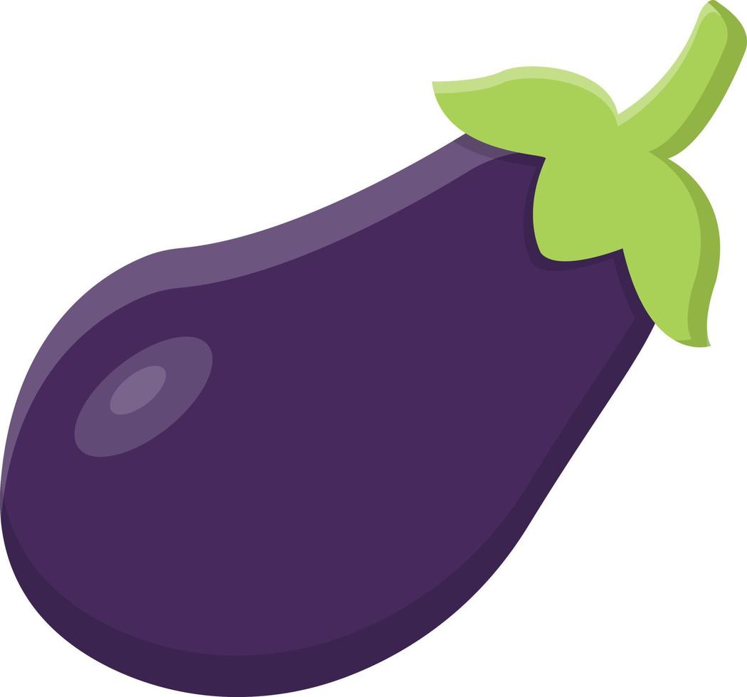 brinjal flat icon vector