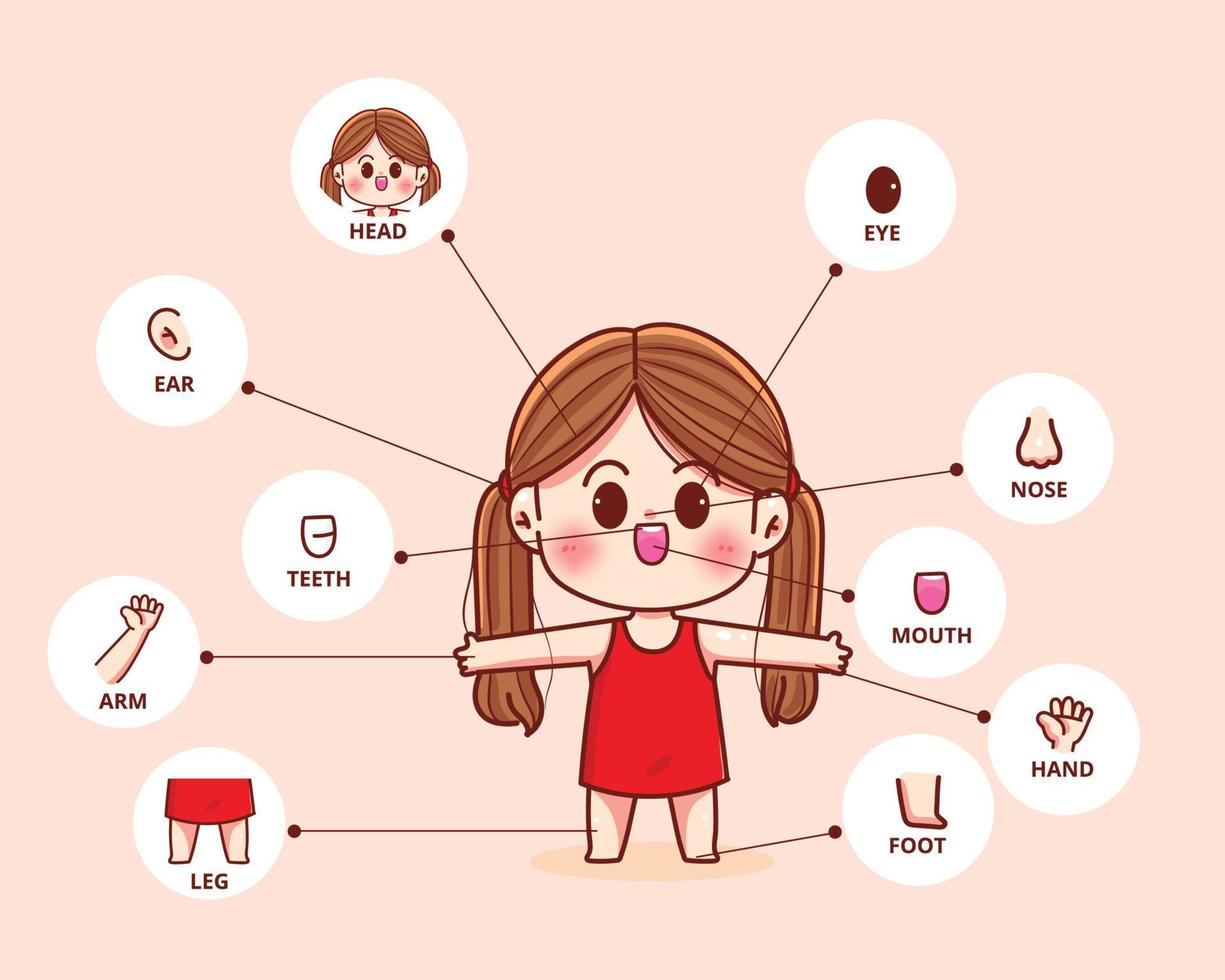 Child girl body part human biology organ poster hand drawn cartoon art illustration vector