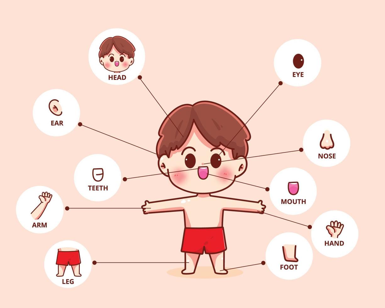 Child boy body part human biology organ poster hand drawn cartoon art illustration vector