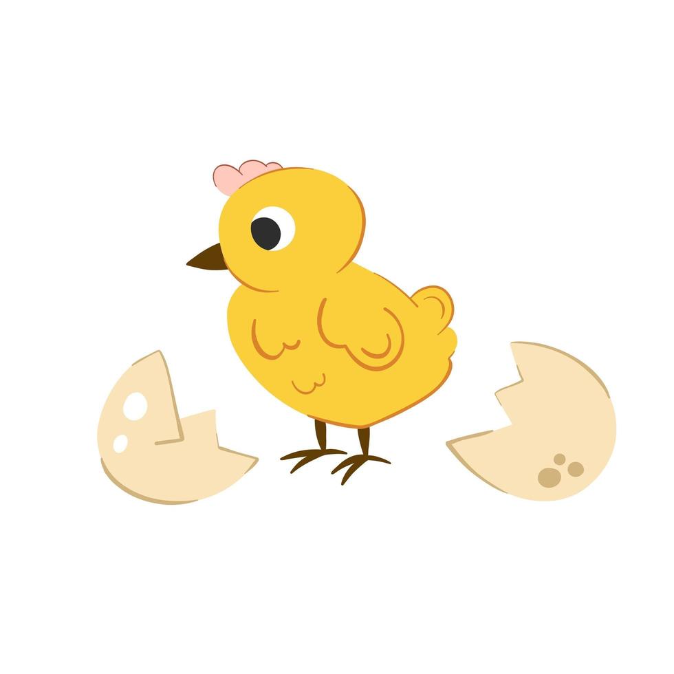 Ilustración de vector lindo pollito para el diseño de Pascua. Pollo lindo amarillo recién nacido del huevo en blanco