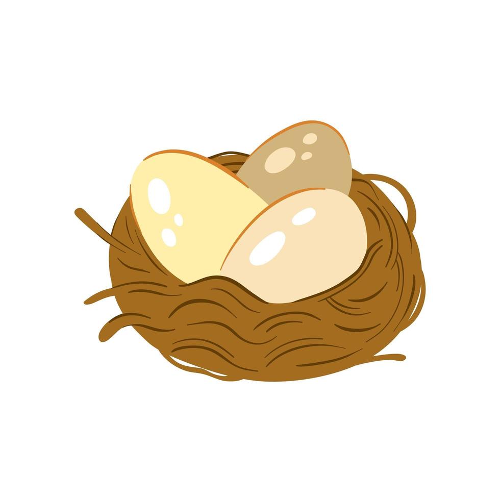 Nest with eggs cartoon vector illustration on white background