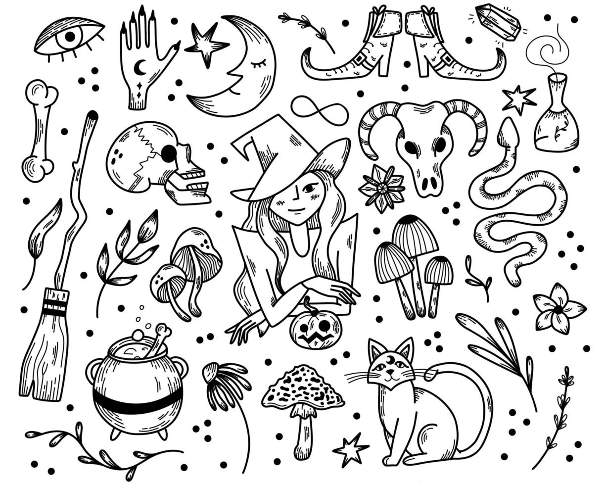 Magical hand drawn witch illustration set of halloween objects. Witchcraft vector doodle elements. Esoteric big collection