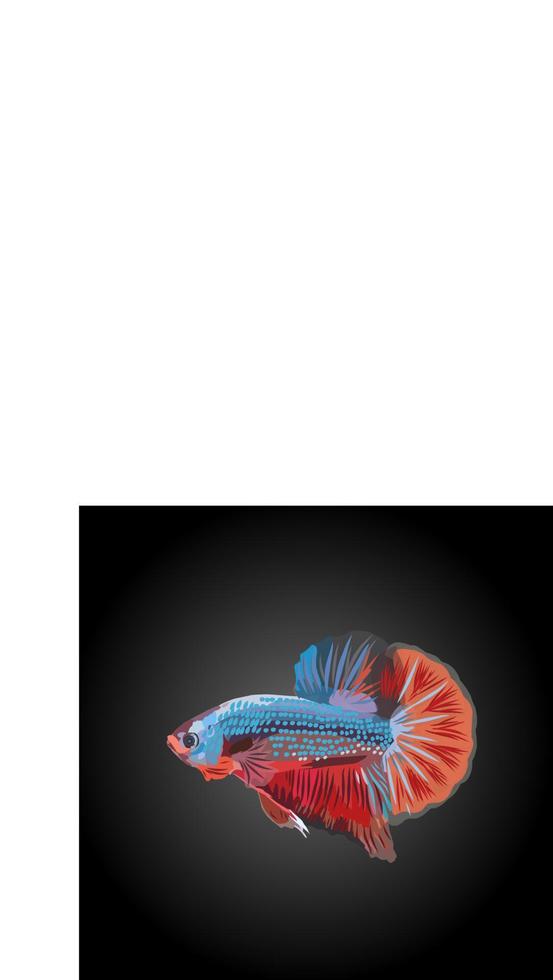 Ilustración de vector de pez Betta