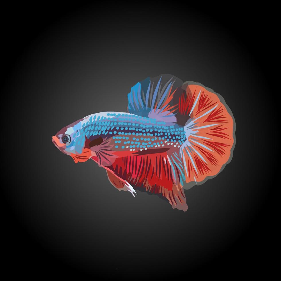 betta fish vector illustration