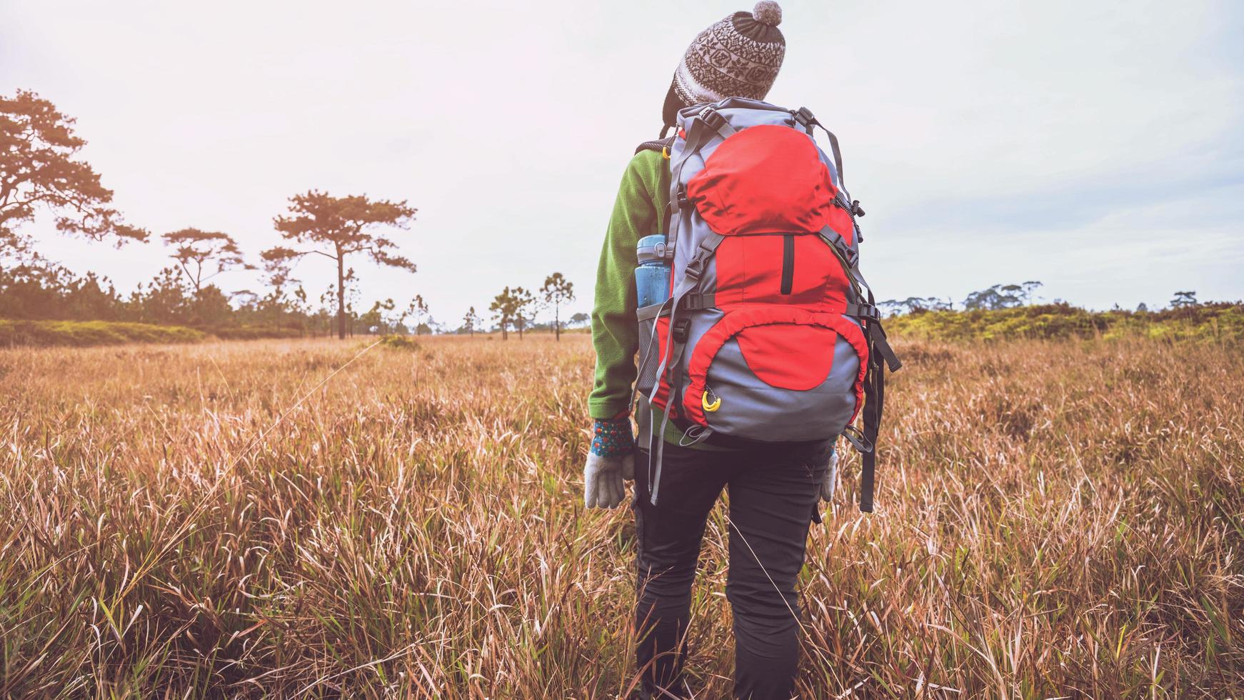 Asian women travel  nature. Travel relax.Backpack walk on the meadow in the forest. Thailand photo