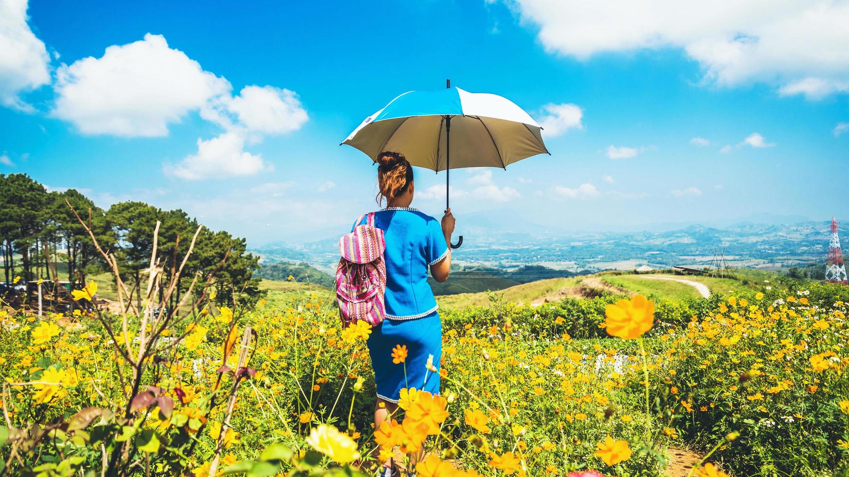 las mujeres asiáticas viajan dormir relajarse. Paragüero de las mujeres de las tribus de las colinas en el campo de flores. tailandia foto