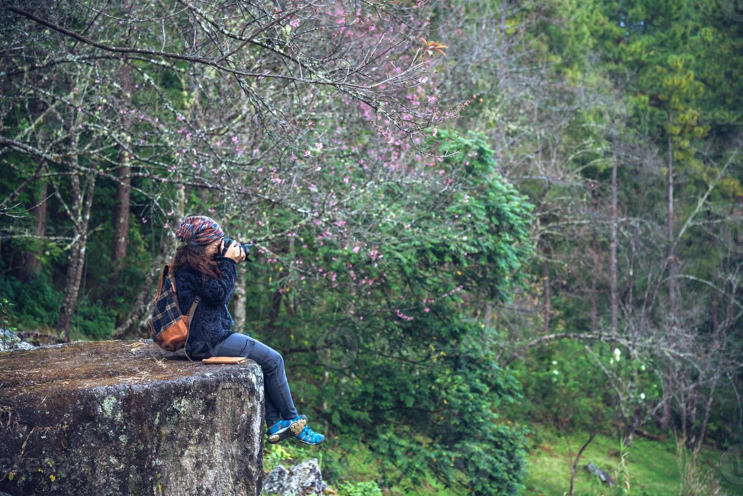 mujer viajar naturaleza tomando fotografías flor de sakura rosa en doi inthanon chiangmai en tailandia. foto