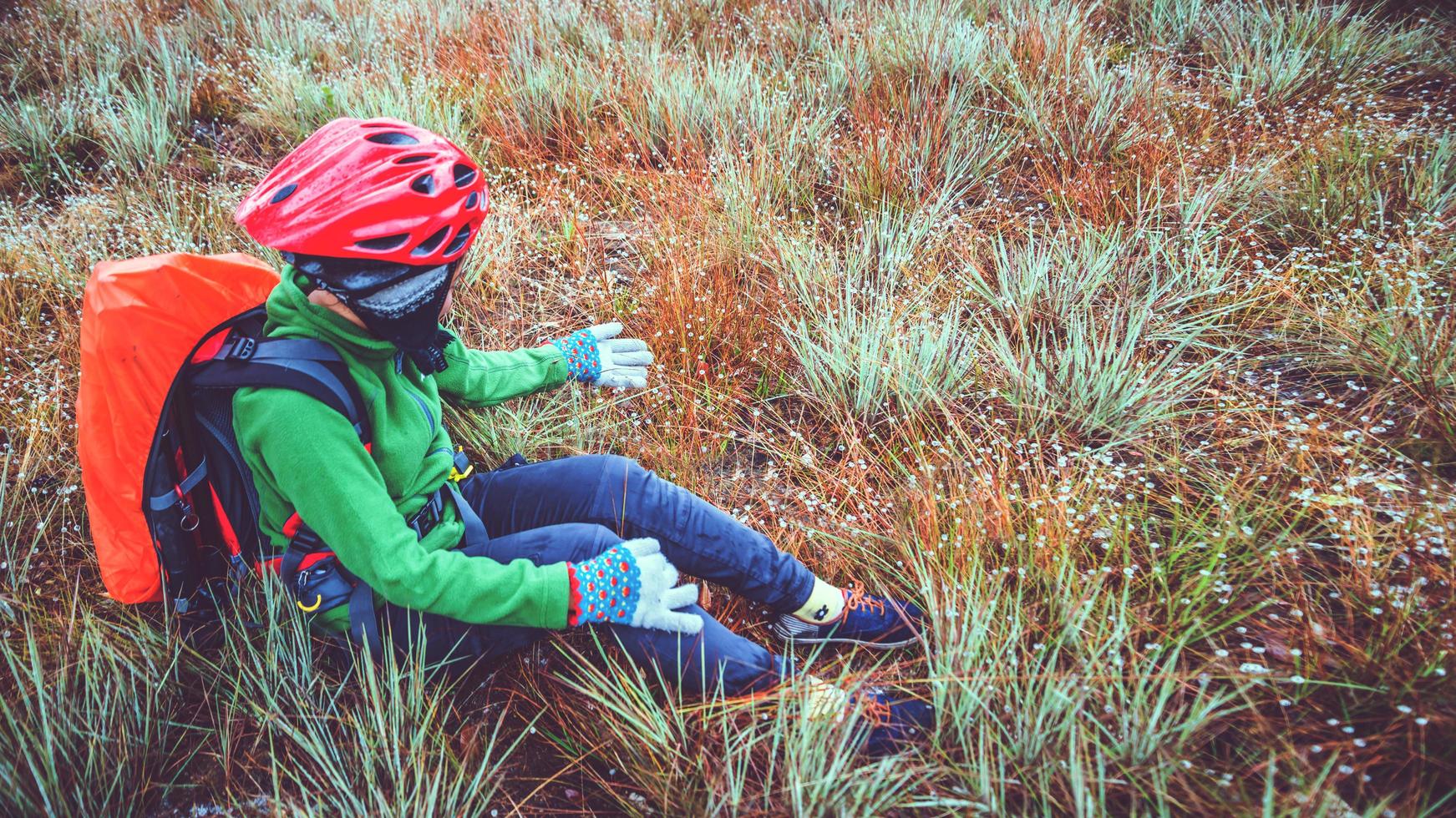 Asian women travel  Nature. Travel relax. Touch natural mountain meadow. walk in the forest. Thailand photo