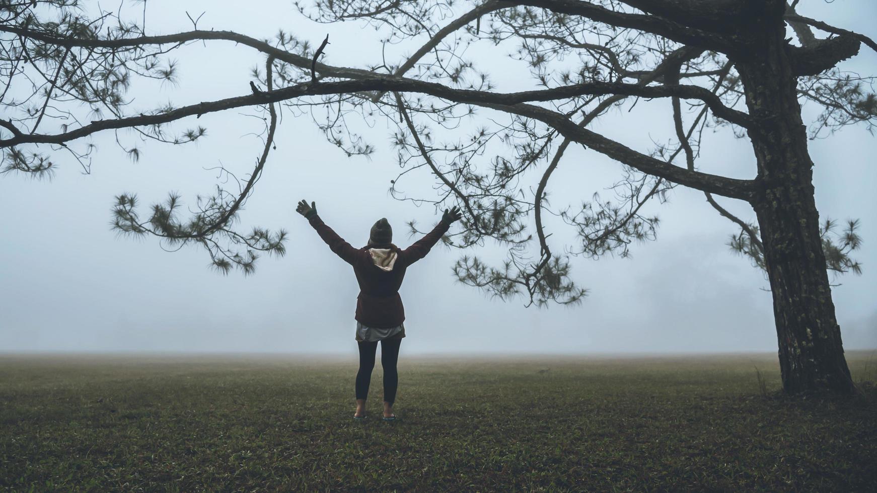 las mujeres asiáticas viajan por la naturaleza. viajar relajarse. soportar paisajesnatural toque niebla bajo el pino. tailandia foto