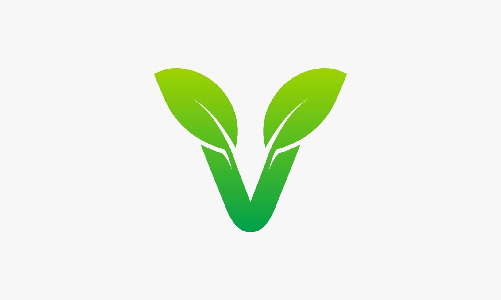 leaf letter V logo design vector illustration.