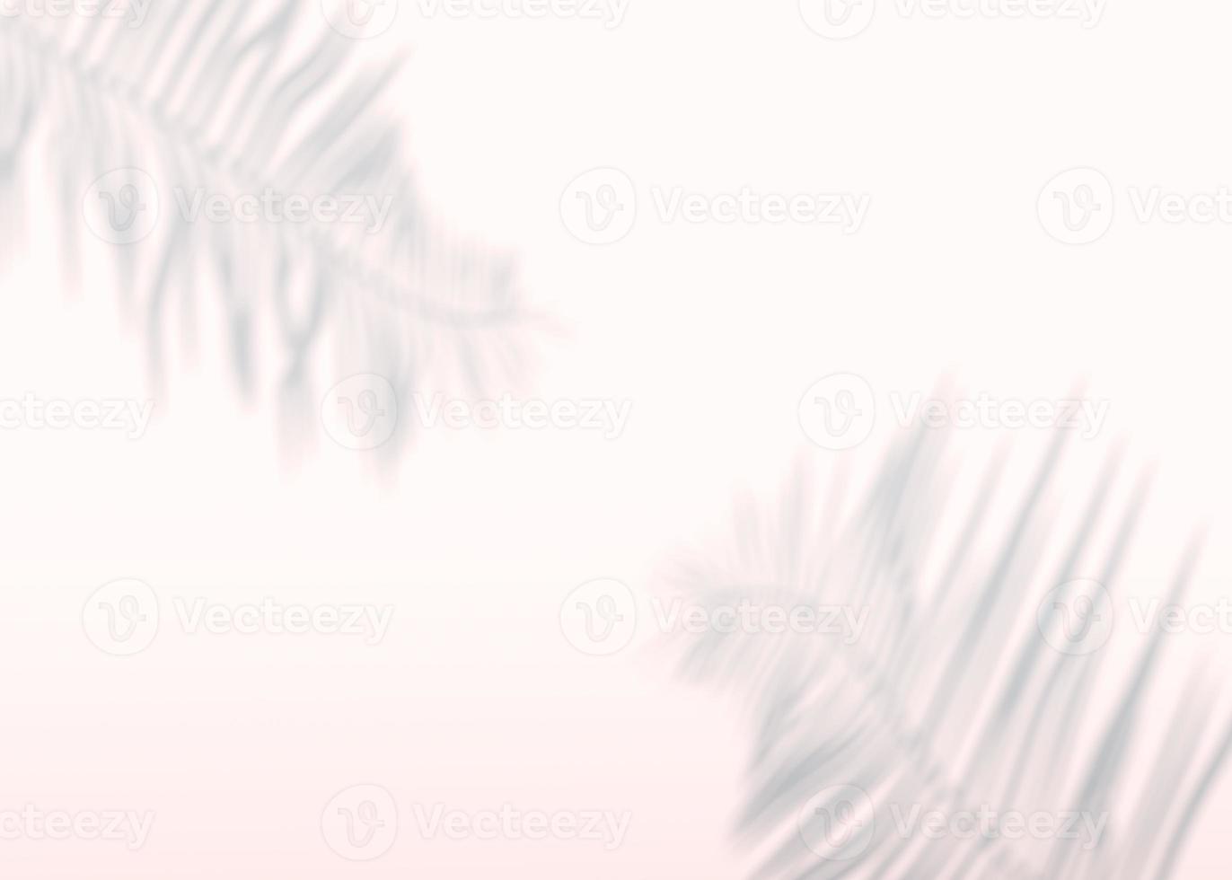 Abstract background of shadows palm leaves on a wall. 3d rendering. photo