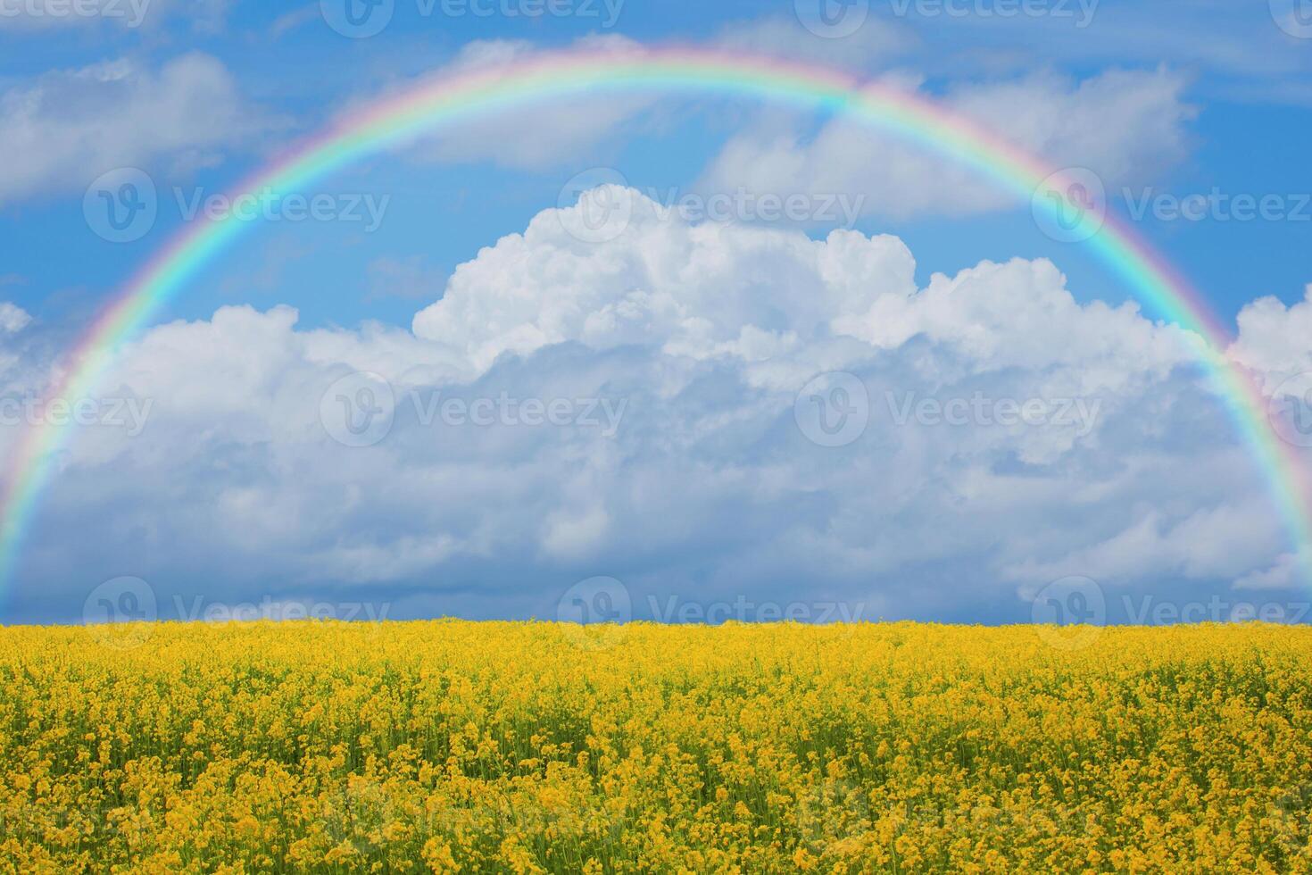 Ambiente colorido del arco iris soleado de verano bosque de abetos con césped y árboles en el mar foto