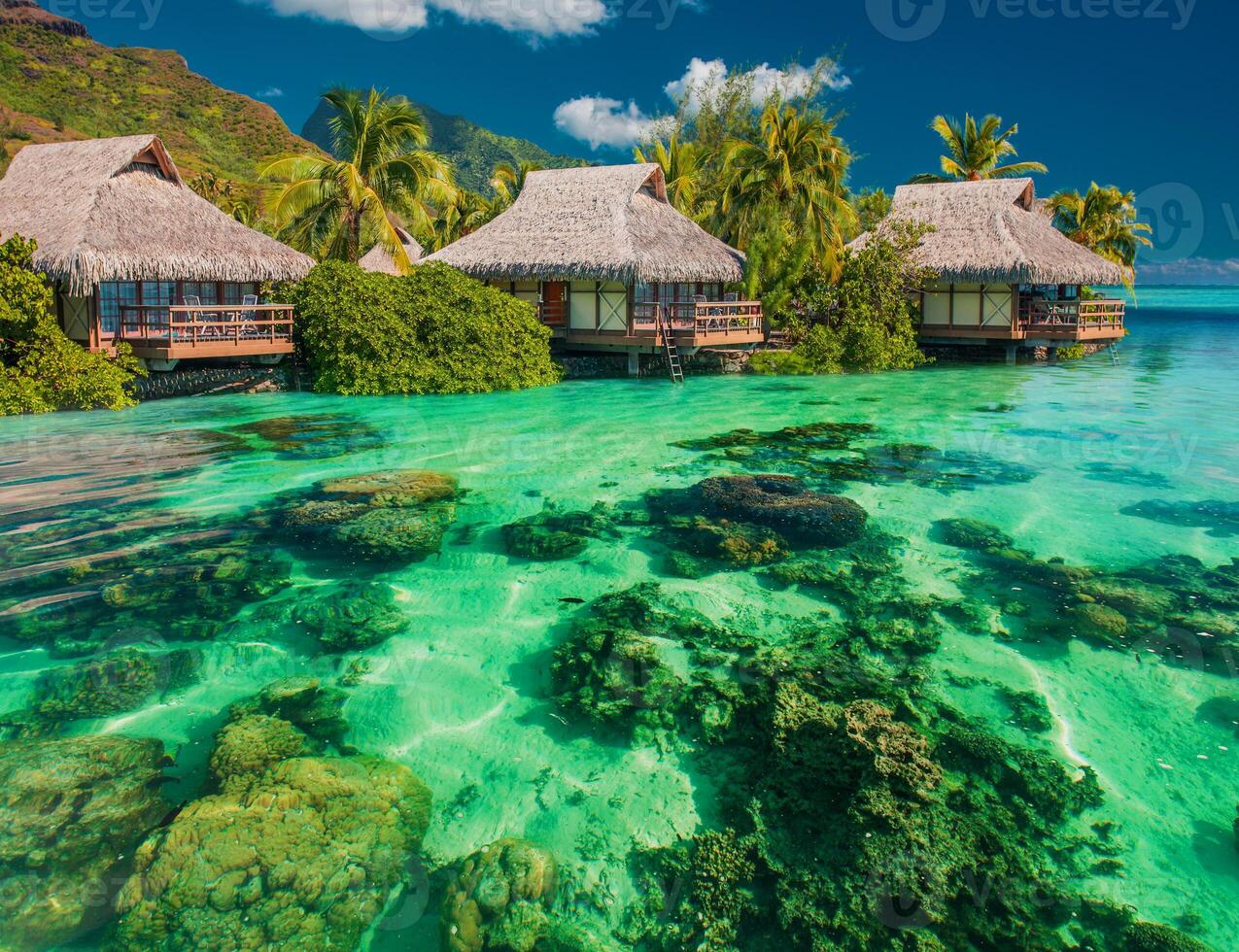 Hermosa playa paradisíaca tropical con arena blanca y palmeras de coco en el panorama del mar verde. foto