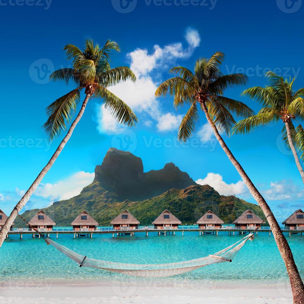 Hermosa playa paradisíaca tropical con arena blanca y palmeras de coco en el panorama del mar azul. foto