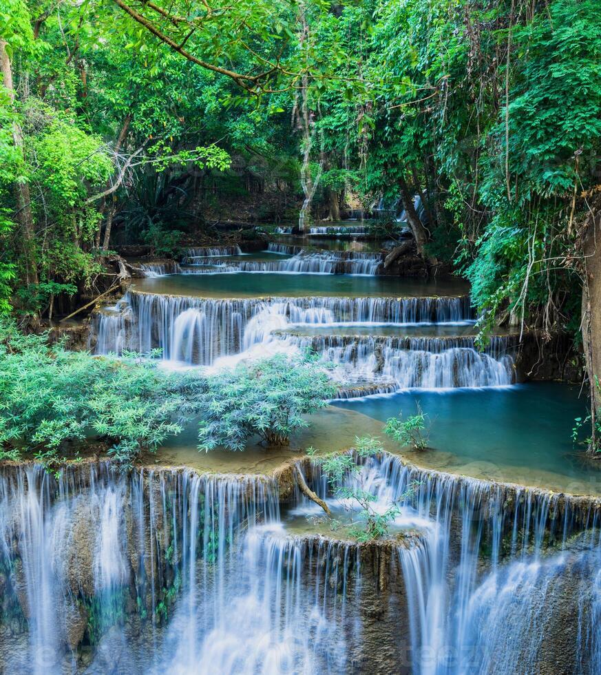 hermosa cascada panorámica hermoso bosque natural de color verde oscuro en la naturaleza. foto