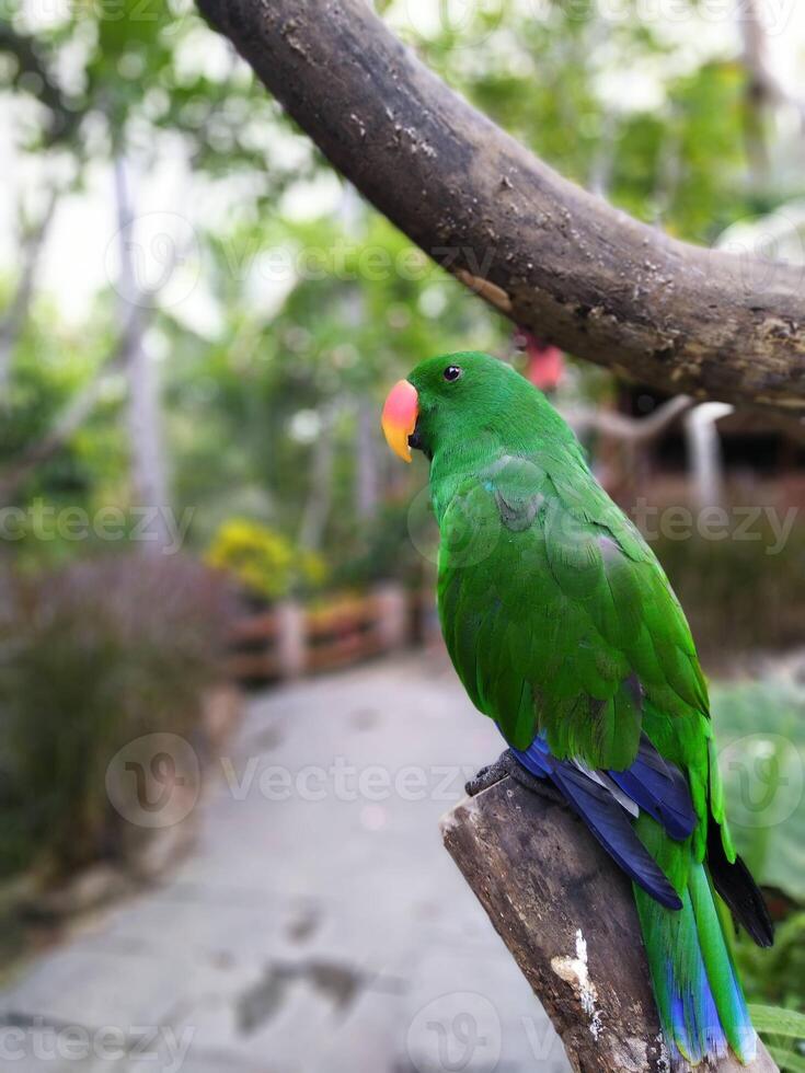 green bird perched on a tree trunk with motion blur photo