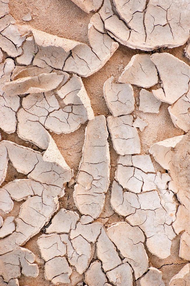 light brown ground many crack earth ground dried surface with brown land. photo