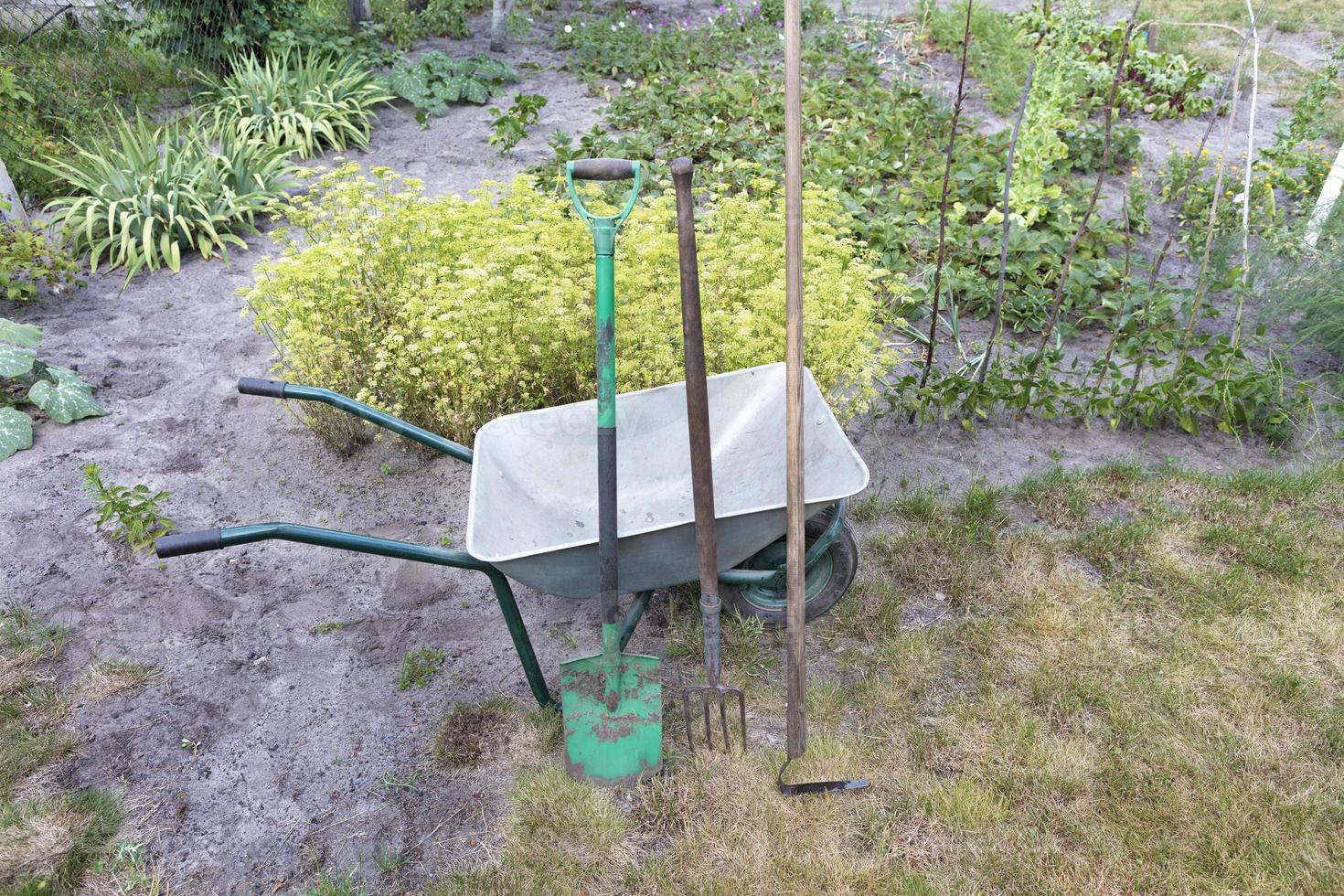 A garden tool and a wheelbarrow used on a personal plot. photo