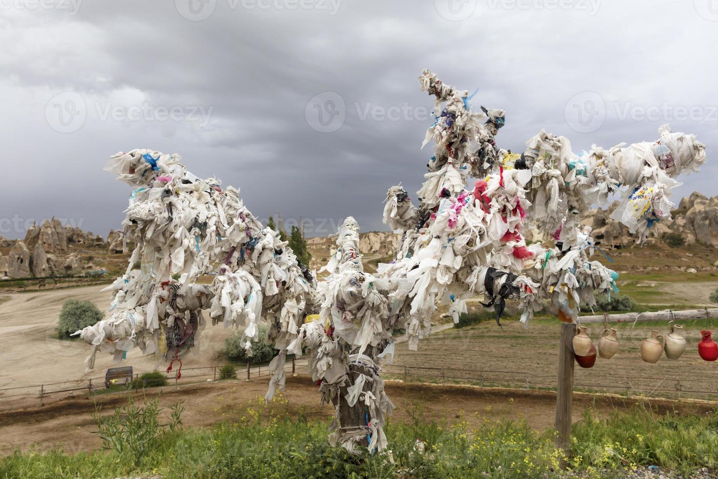 Tree Of Wishes in Goreme, Cappadocia, Central Anatolia, Turkey photo