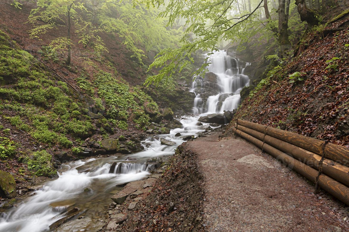 Carpathians. A path to the great waterfall of a mountain river. Ukraine. photo