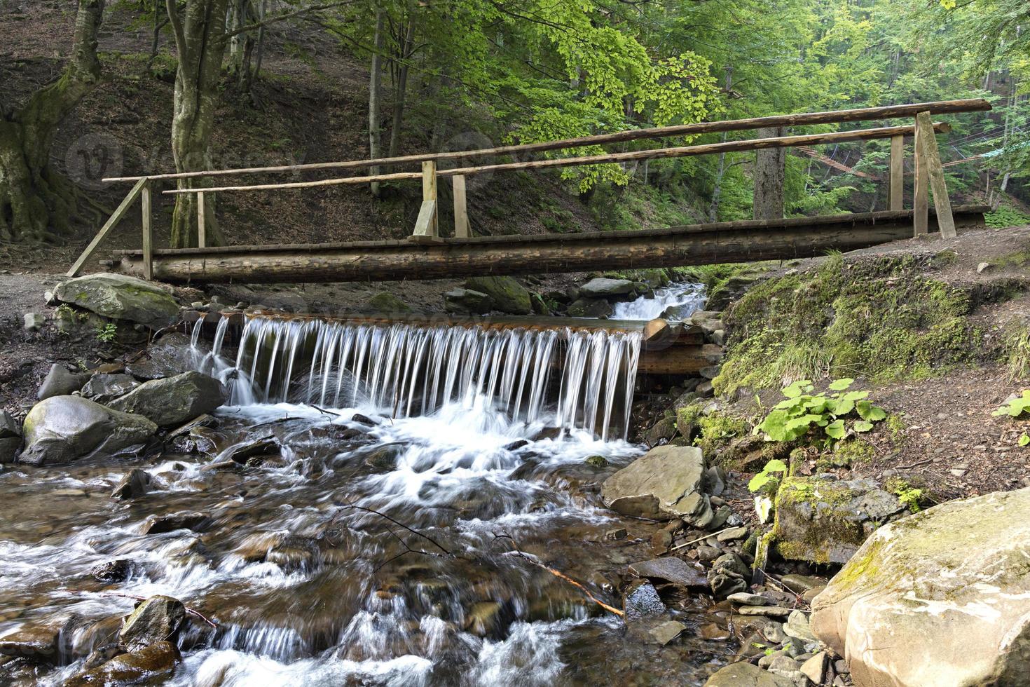 A small wooden bridge across a stream among thickets between the hills of the Carpathian Mountains photo