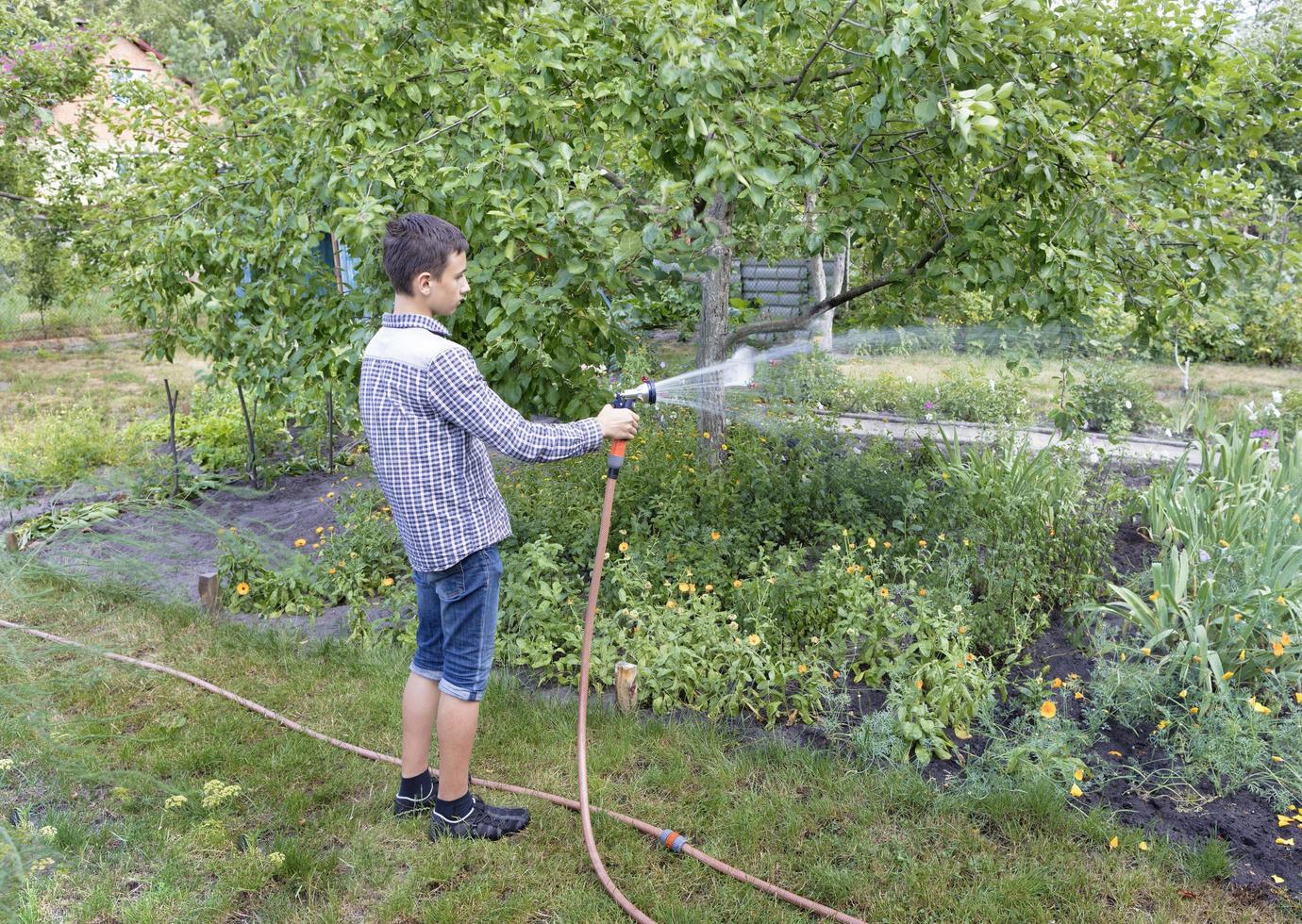 A young man makes seasonal work in the garden photo