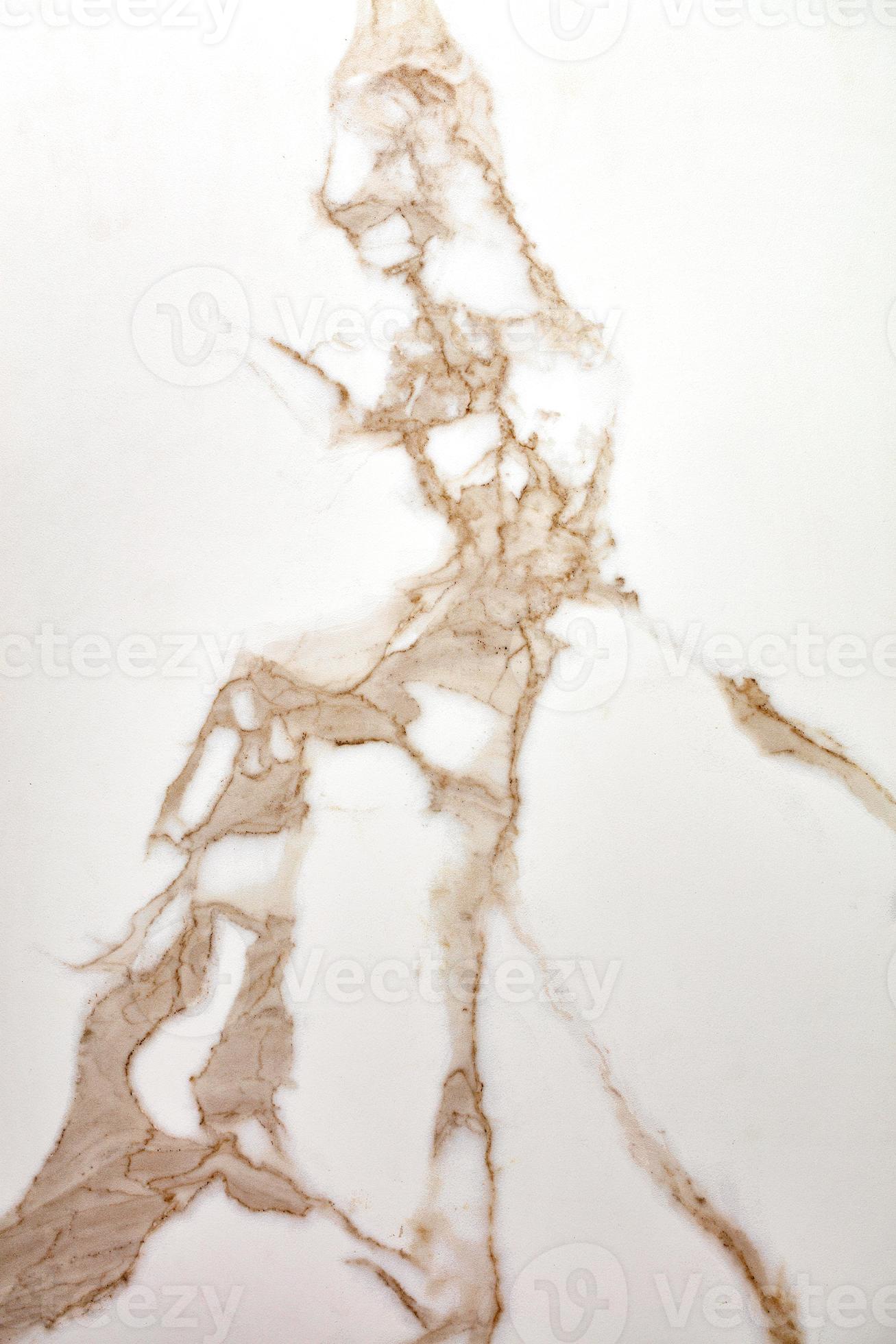 The surface, texture and background of white beige marble with brown