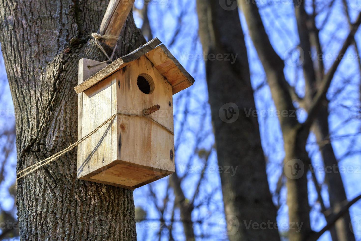 A new nesting box is attached with a rope high on a tree trunk in a spring park. photo