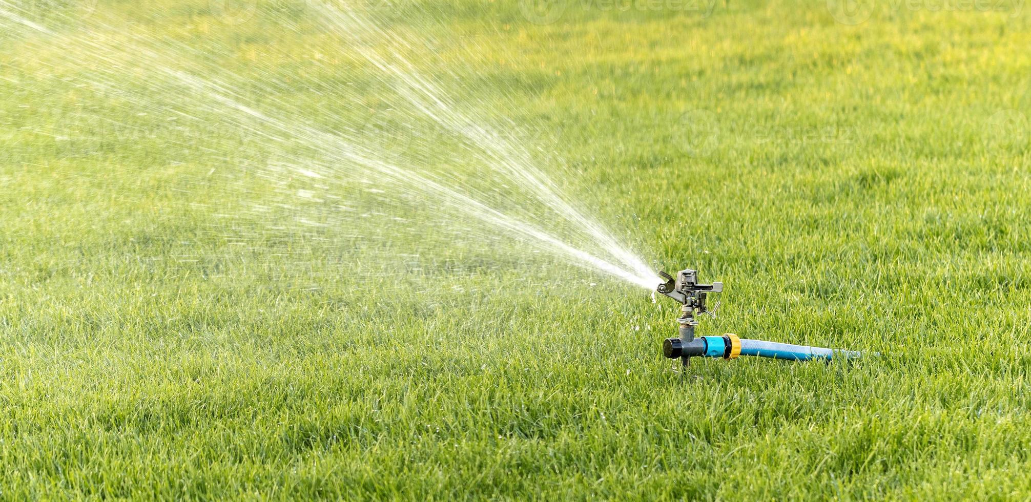 Oscillating irrigation sprinkler of the lawn at noon close-up photo