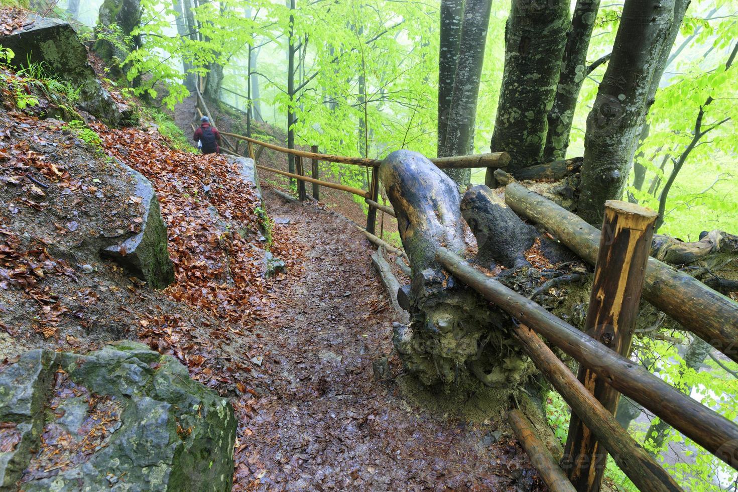 Narrow and wet steep mountain path in the forest with thick fog and with old railing photo