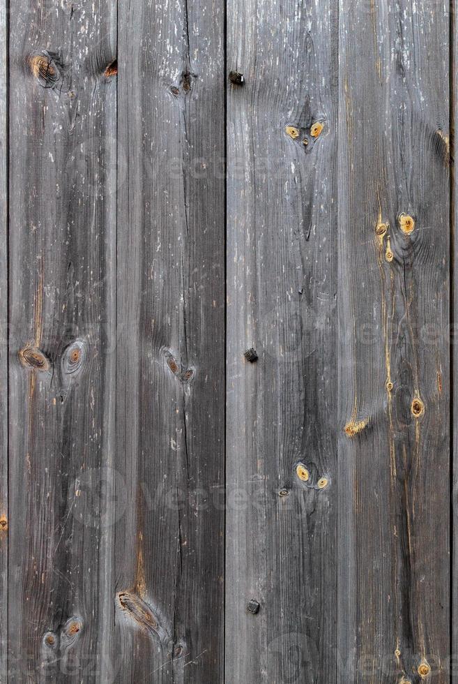Texture of an old wooden gnarled fence with with a close-up, vertical image. photo