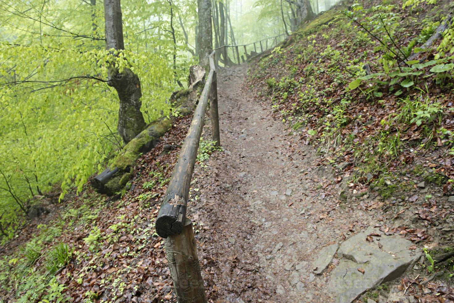 Un estrecho y empinado sendero de montaña en el bosque con pasamanos antiguos. foto