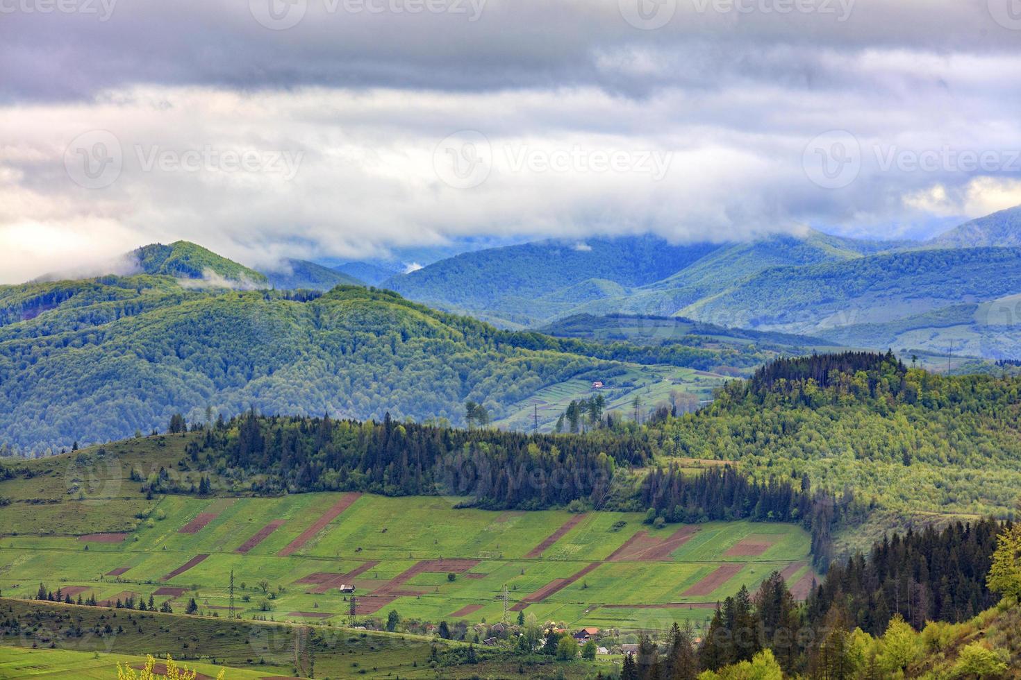 In the valley on the mountainside stretched rectangular agricultural land plots against the backdrop of the picturesque landscape of the Carpathian Mountains, shrouded in mist. photo