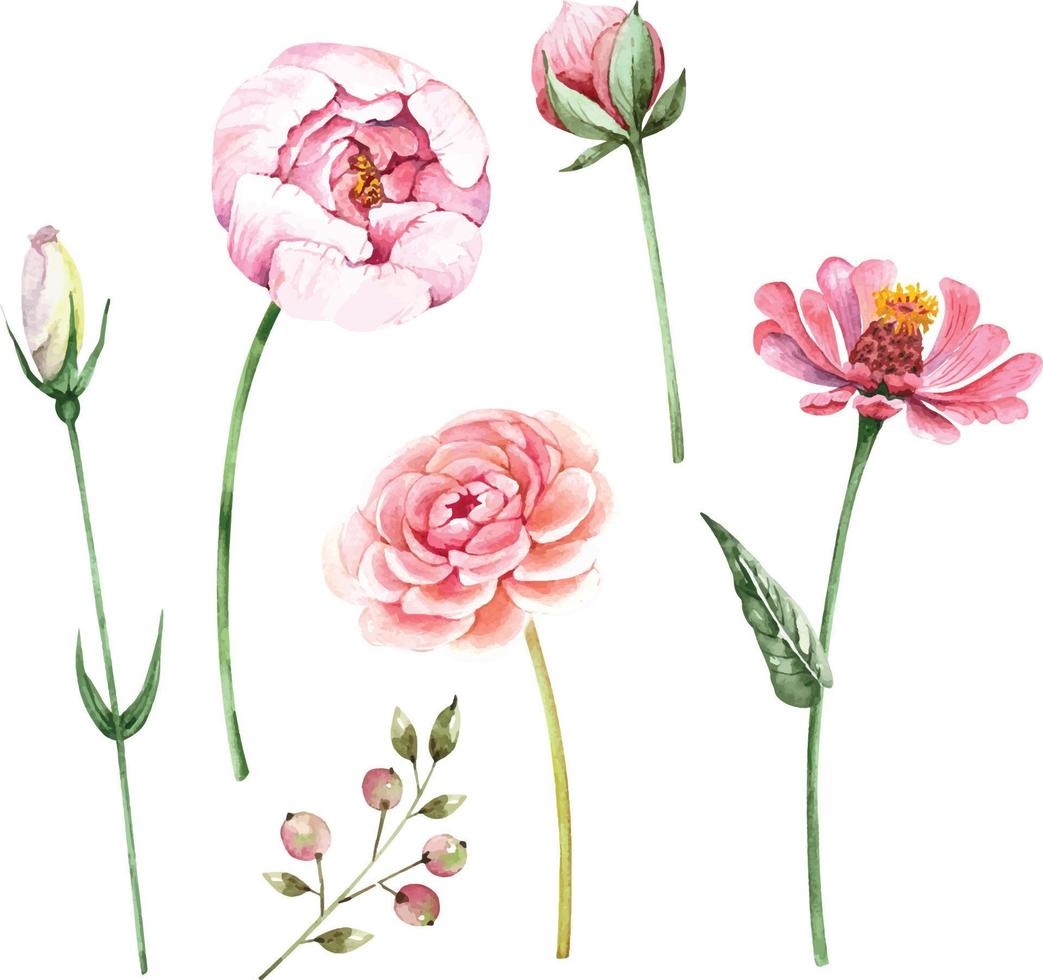 Set of illustrations of pink flowers buds and plants vector watercolor