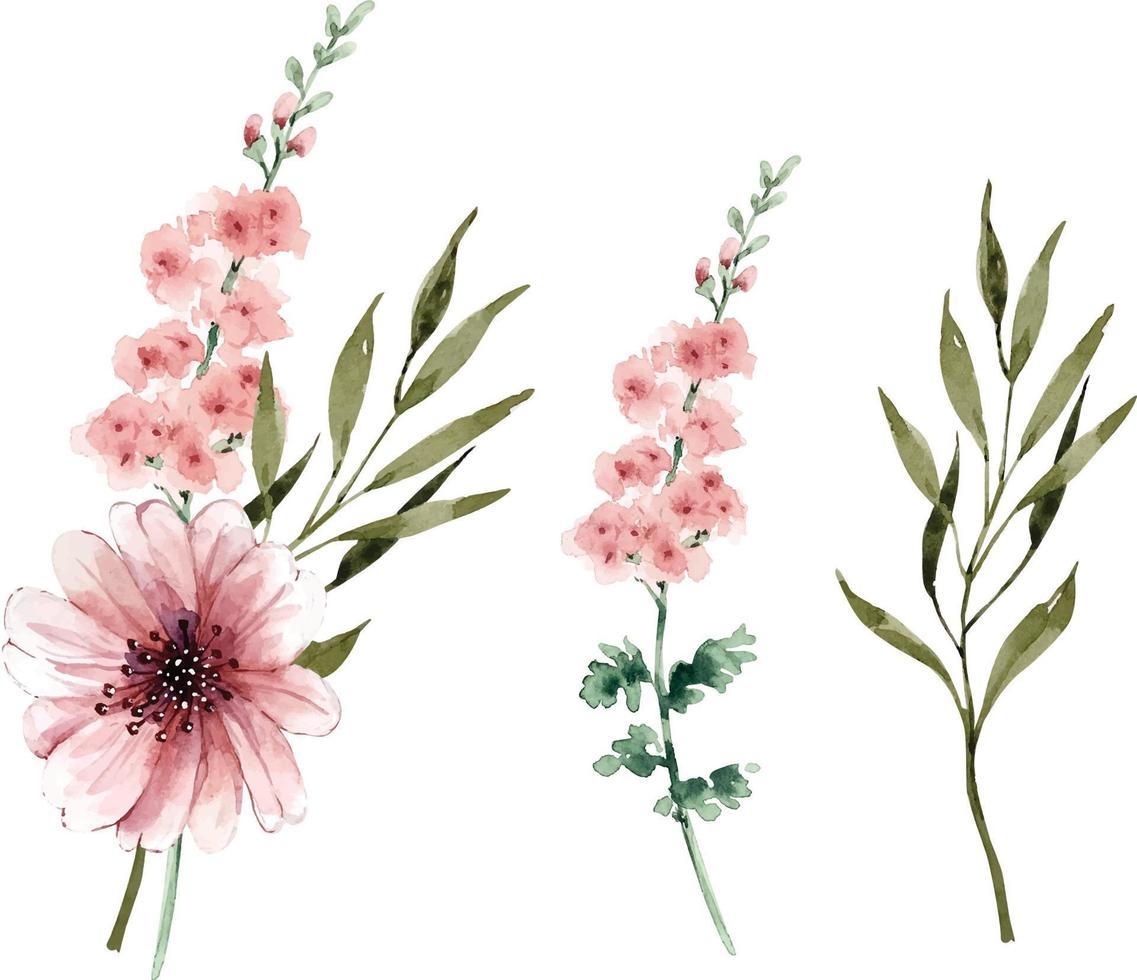 Vector set of watercolors and delicate bouquets of flowers handpainted