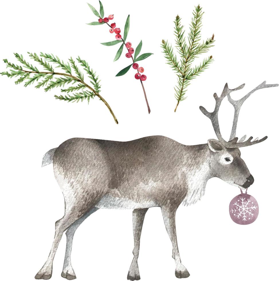 Conjunto de acuarela de ramas para decoración navideña y acuarela de vector de renos