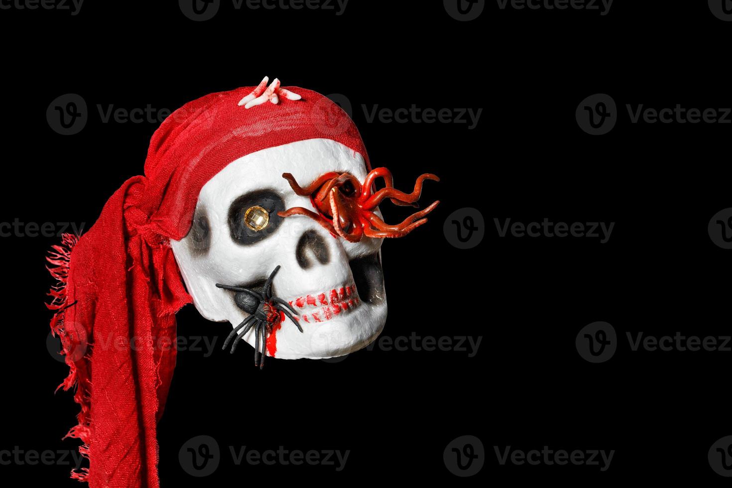 Halloween, skull doll in a red bandana and an octopus in the eye socket and a spider on the cheekbone, isolated on a black background. photo