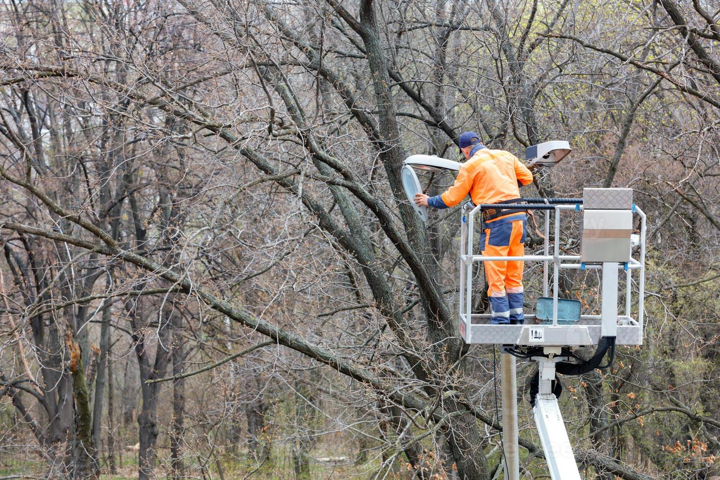 un trabajador de servicios públicos cambia una bombilla de luz en un poste de alumbrado público con el telón de fondo de los árboles del parque. foto