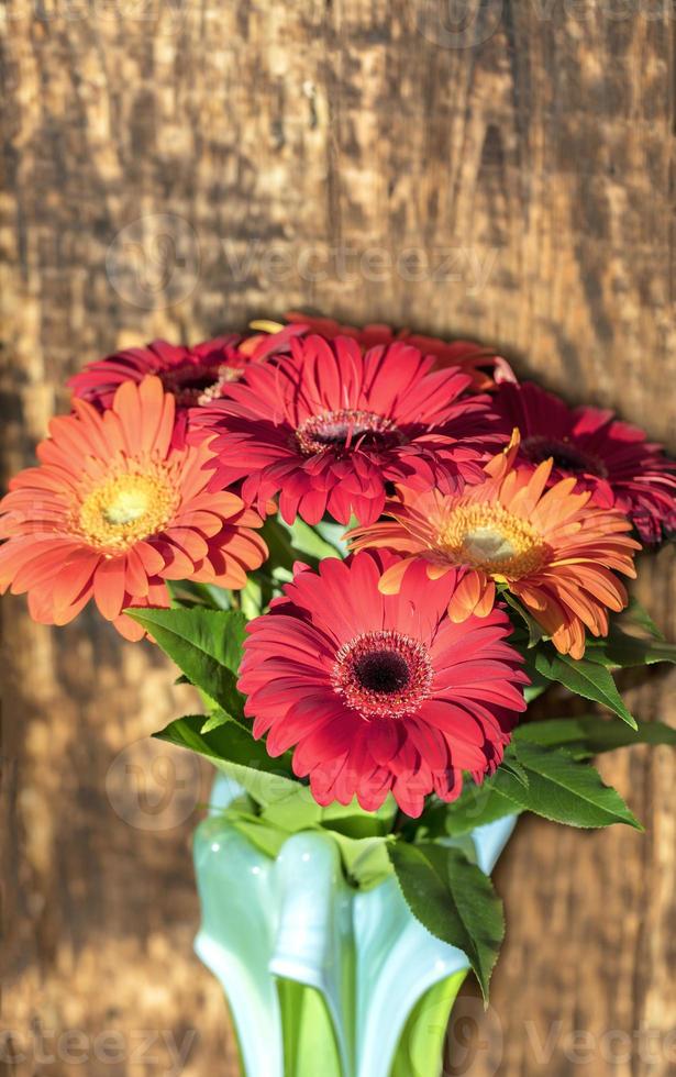 Beautiful bouquet of gerberas in a glass colored vase on the background of an old vintage wooden wall photo