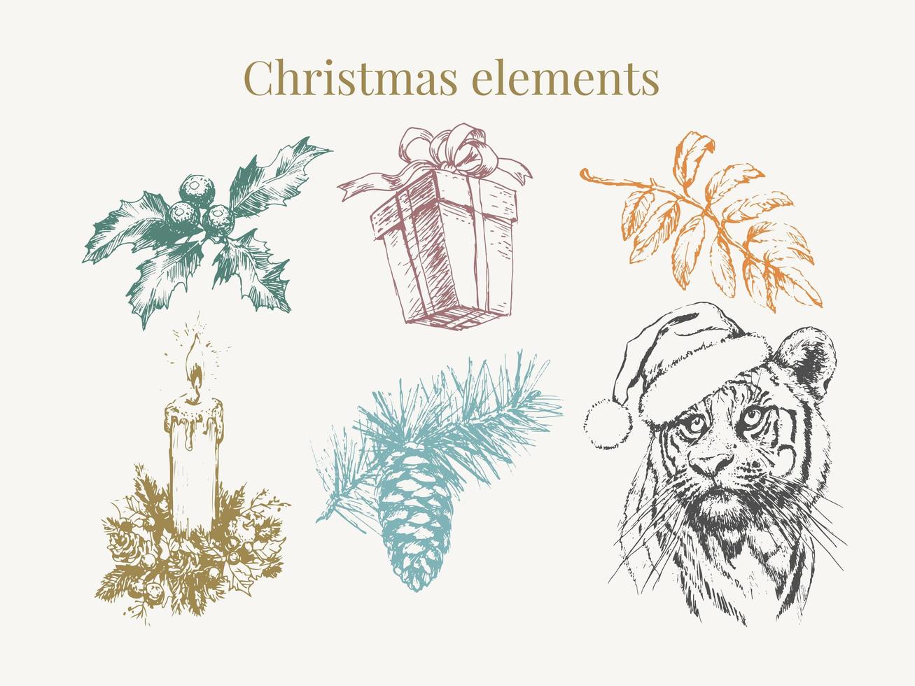 Tiger in Christmas hat. Print on a postcard or poster. Vector illustration. Holiday card. New Year's and Christmas. Santa Claus.