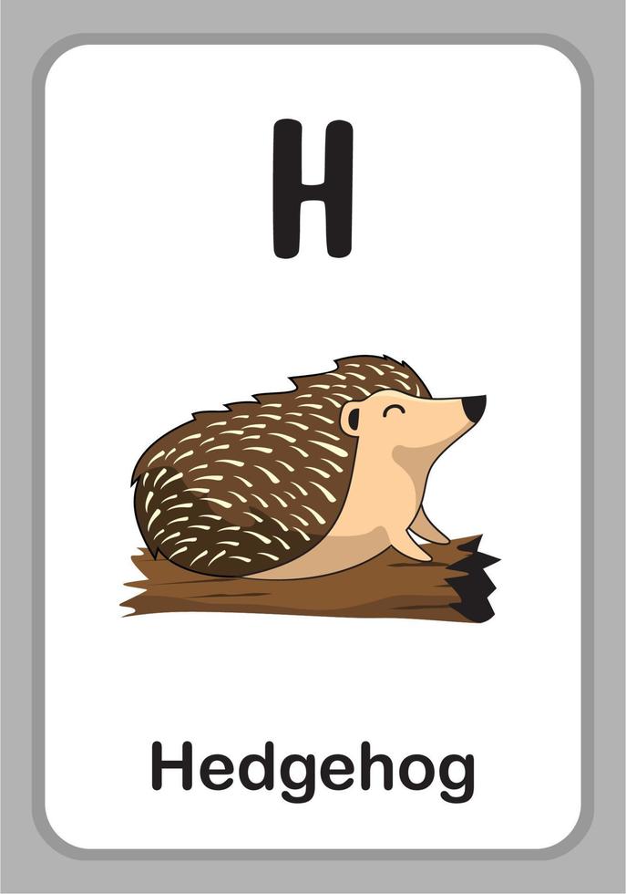 tarjetas educativas del alfabeto animal - h para erizo vector