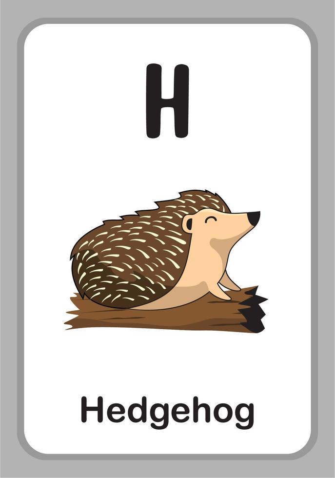 Animal Alphabet Education Flashcards - H for Hedgehog vector