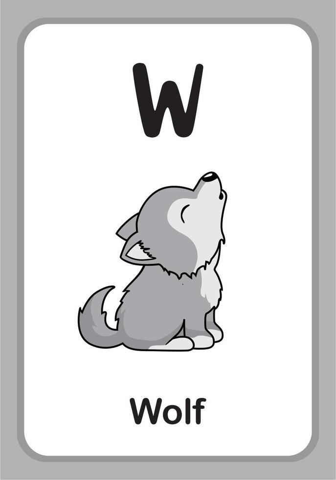 tarjetas educativas del alfabeto animal - w para lobo vector