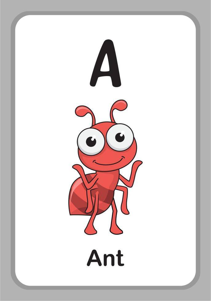 Animal Alphabet Education Flashcards - A for Ant vector