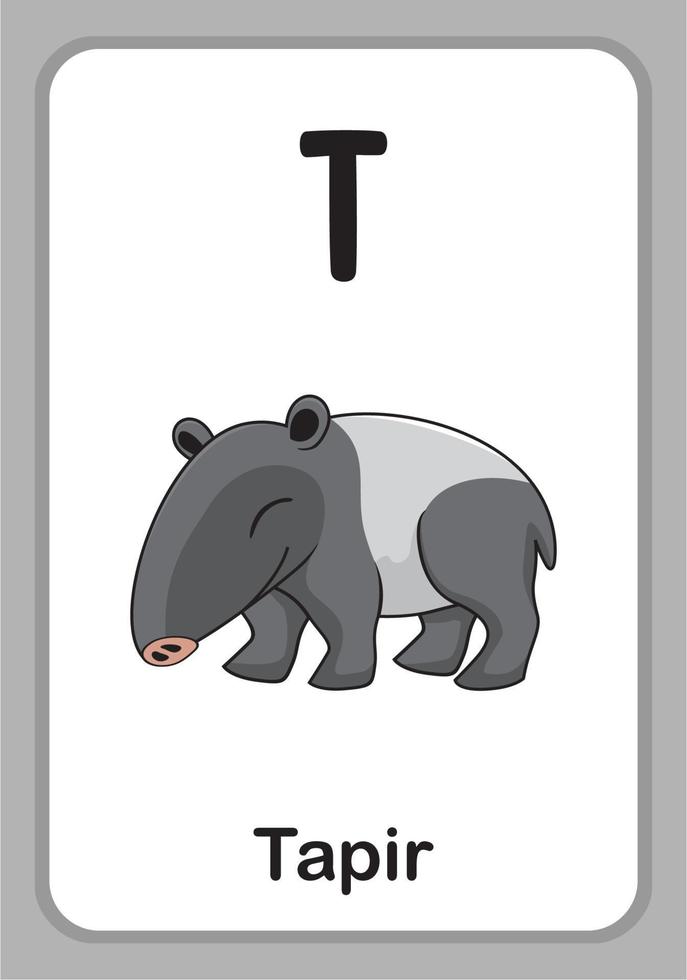 Animal Alphabet Education Flashcards - T for Tapir vector