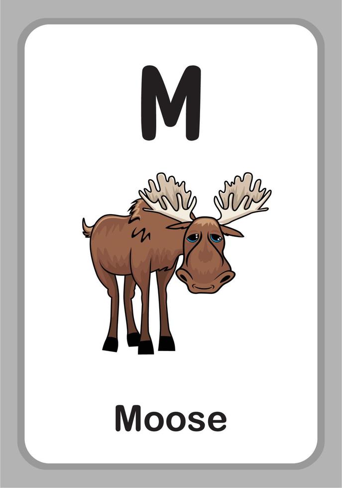 Animal Alphabet Education Flashcards - M for Moose vector