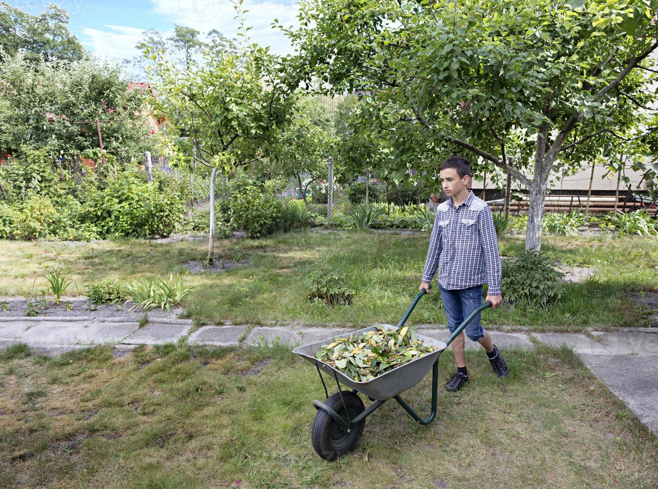 A young man makes seasonal work in the garden photo