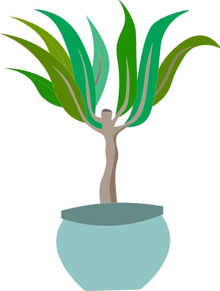 Home indoor plants - dracaena with large leaves in ceramic pot. Vector image.