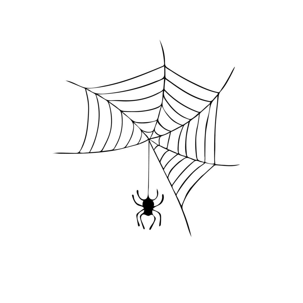 lettering happy Halloween. Vector illustration with a spider web, drawn by hand. Calligraphy with a brush. Template for printing on a flyer, poster, party invitation, banner.
